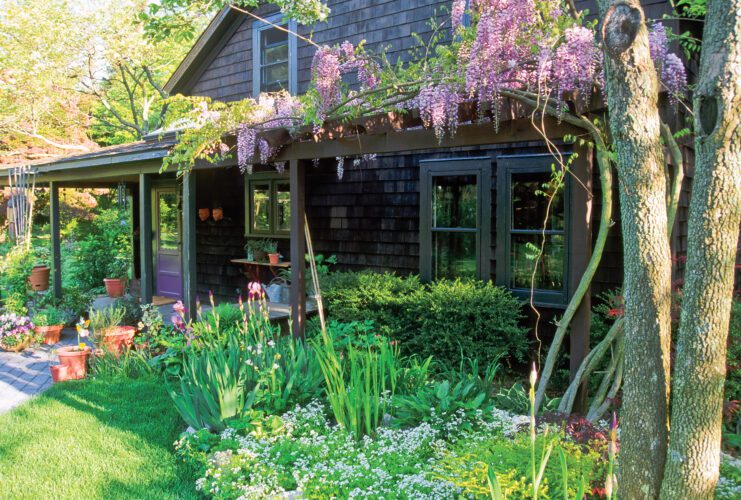 7 Herbs that Grow in Shade Image